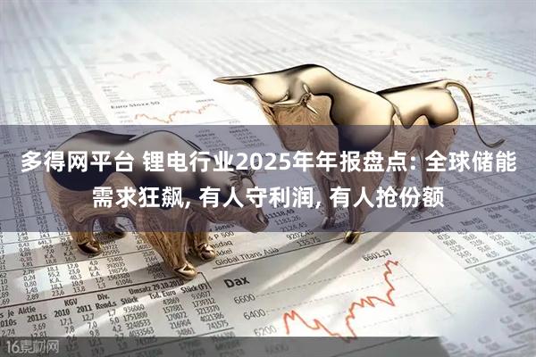 多得网平台 锂电行业2025年年报盘点: 全球储能需求狂飙, 有人守利润, 有人抢份额
