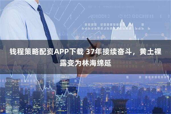 钱程策略配资APP下载 37年接续奋斗，黄土裸露变为林海绵延